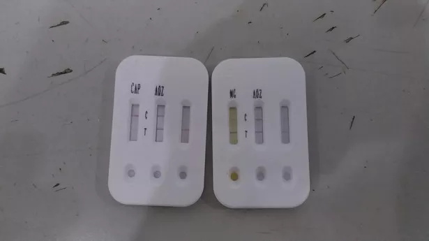 快检效劳重磅推出，，，，，把好农产品质量清静第一关-绿城农科检测手艺有限公司