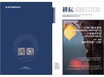 888电子(中国游)有限公司官网