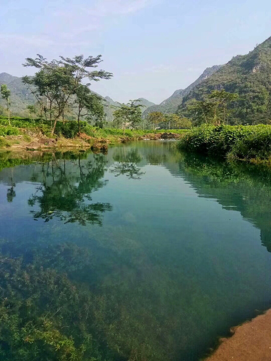 水质检测-山东888电子剖析测试有限公司